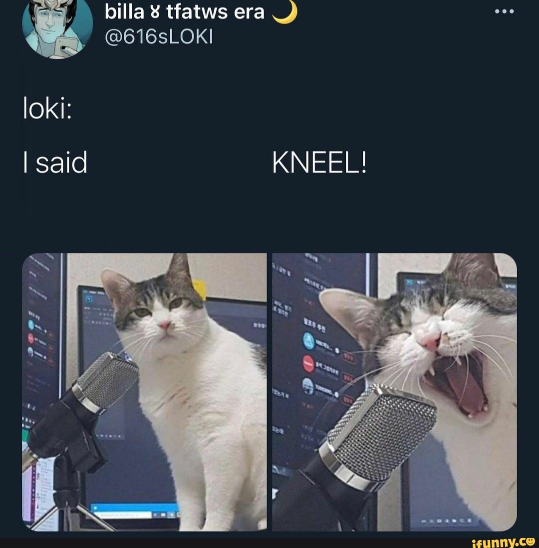 loki:
I said KNEEL!