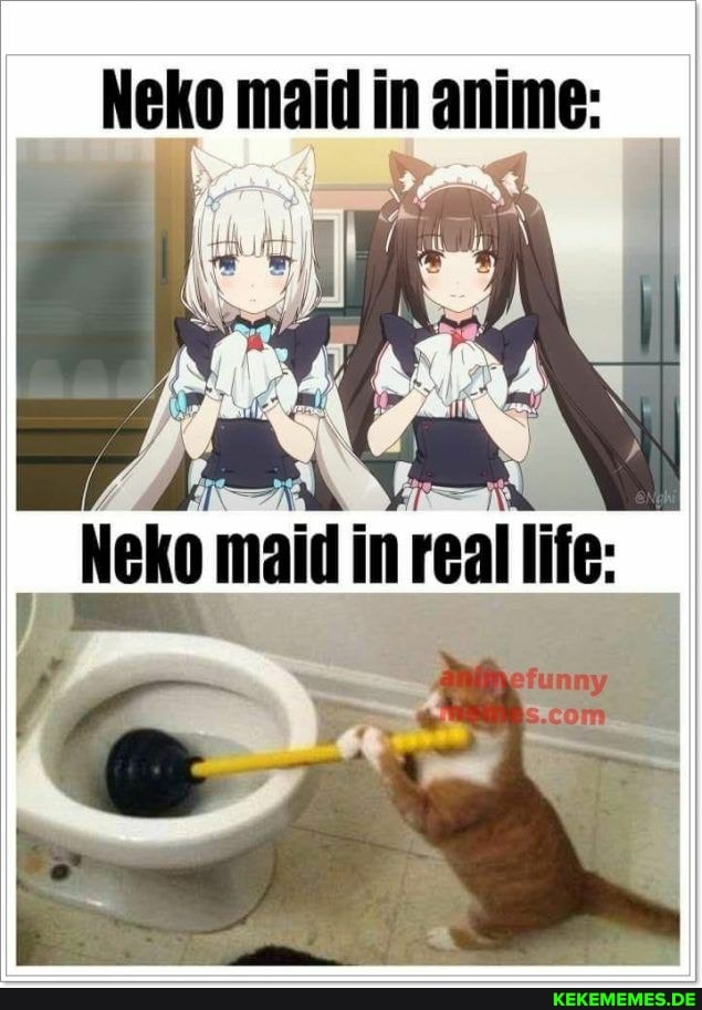 Neko maid in anime: eko maid nreal life: