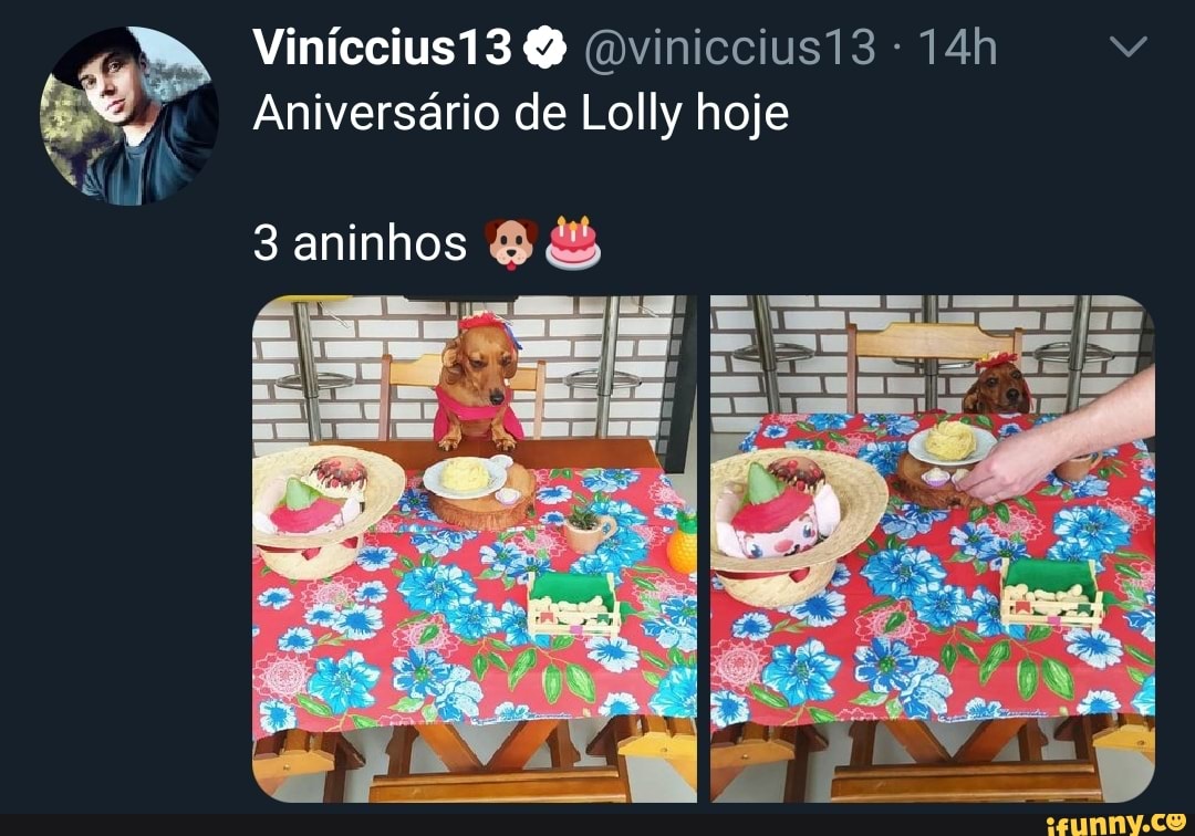 7 Aniversario de Lolly hoje
e
