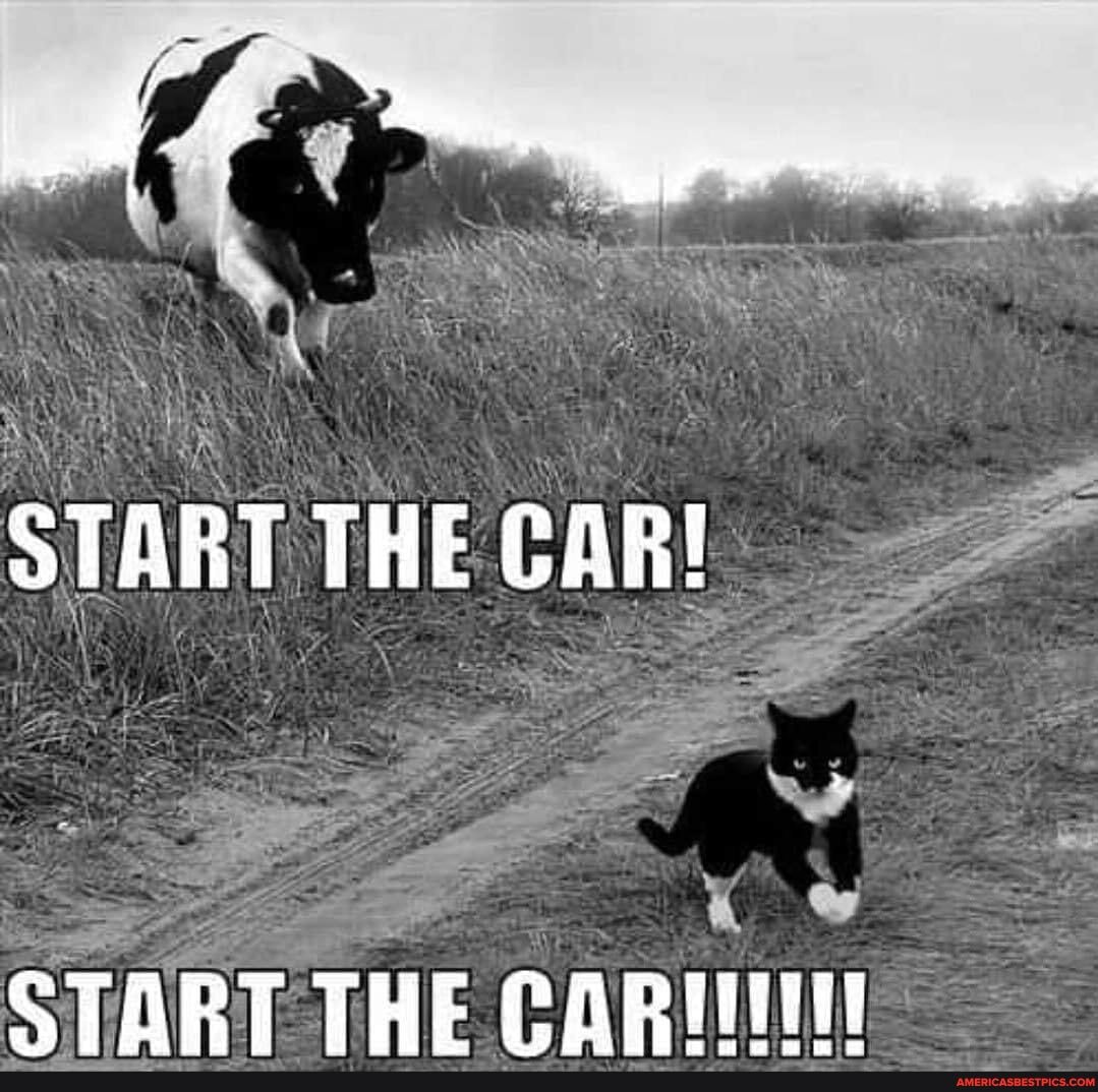 ART THE CAR!
CT
TTHECA