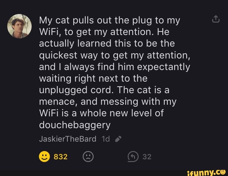 My cat pulls out the plug to my
WiFi, to get my attention. He actually learned this to be the quickest way to get my attention, and I always find him expectantly waiting right next to the unplugged cord. The cat is a menace, and messing with my
WiFi is a whole new level of douchebaggery
JaskierTheBard id
@ 332