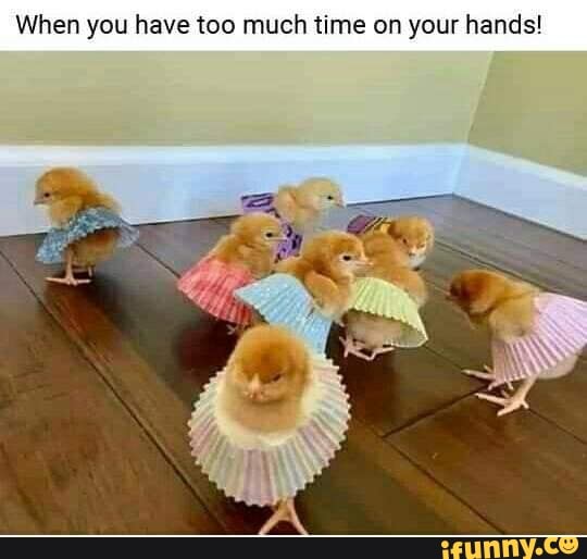 When you have too much time on your hands!