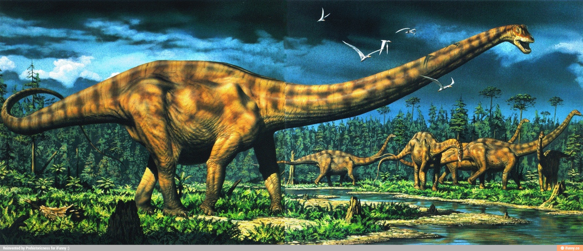 Seismosaurus Memes Best Collection Of Funny Seismosaurus Pictures On seismosaurus-memes-best-collection-of-funny-seismosaurus-pictures-on