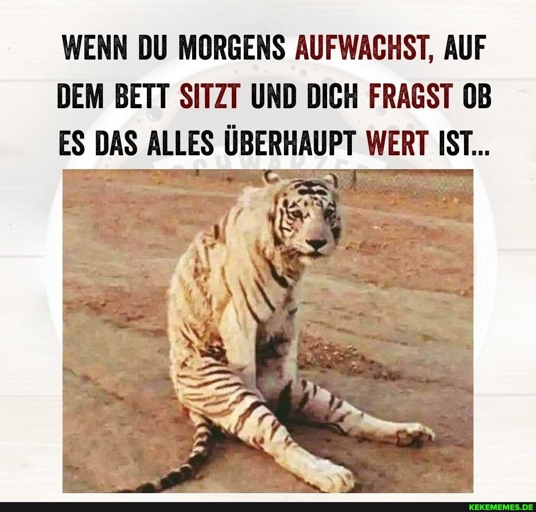 WENN DU MORGENS AUFWACHST, AUF DEM BETT SITZT UND DICH FRAGST OB
ES DAS ALLES ÜBERHAUPT WERT IST...