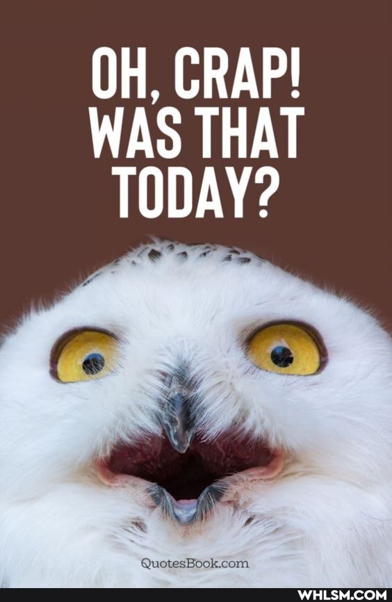 OH, CRAP!
WAS THAT TODAY?