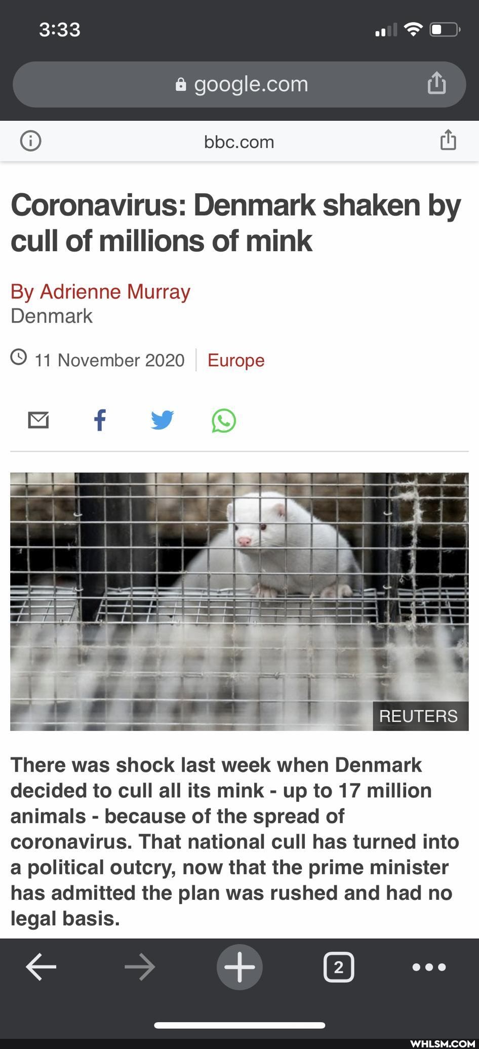 @ th
Coronavirus: Denmark shaken by cull of millions of mink
By Adrienne Murray
Denmark
11 November 2020 I Europe
ww
[REUTERS
There was shock last week when Denmark decided to cull all its mink - up to 17 million animals - because of the spread of coronavirus. That national cull has turned into a political outcry, now that the prime minister has admitted the plan was rushed and had no legal basis.