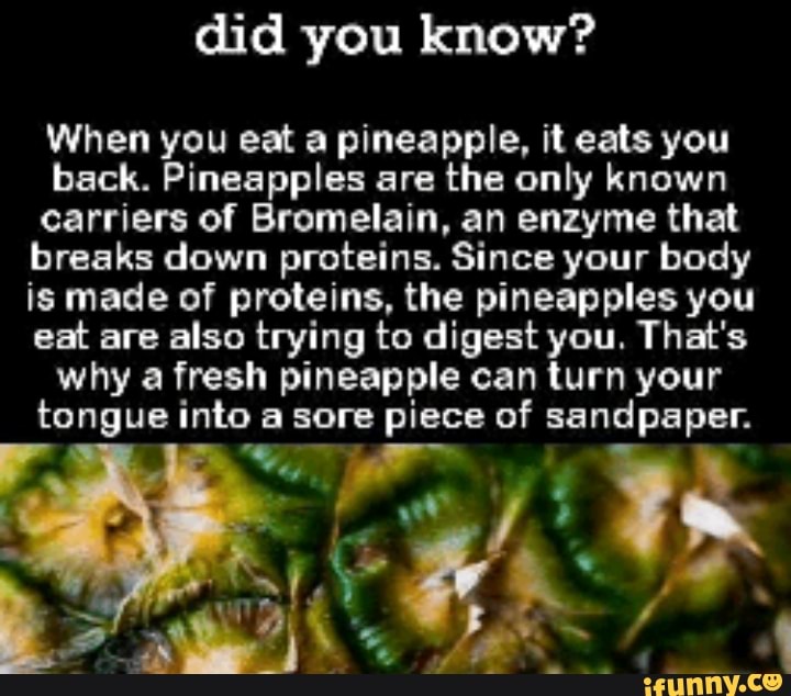 You When you eat a pineapple. it eats you back. Pinaapples are the only ...