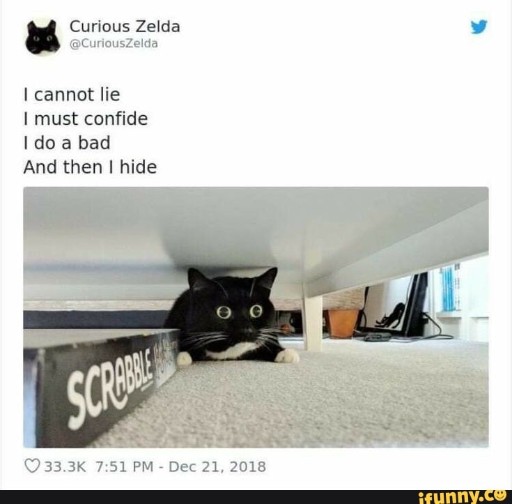 PI Curious Zelda
I cannot lie
I must confide
I do a bad
And then I hide