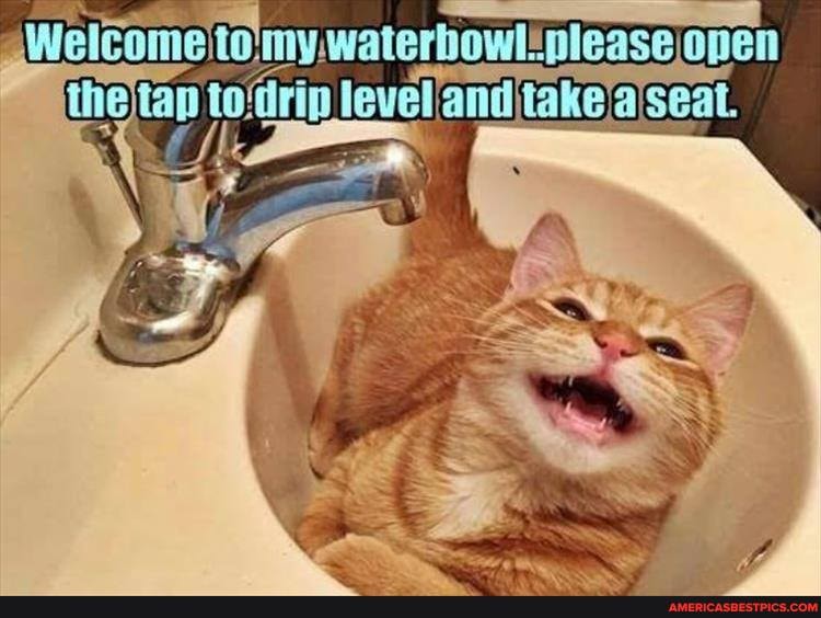 'fo onen
the tap todrip level seat.