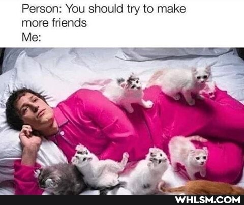 Person: You should try to make more friends
Me: