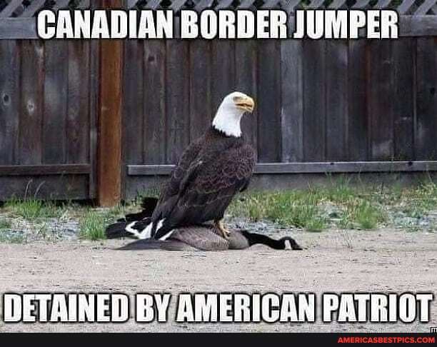 CANADIAN BORDER JUMPER: