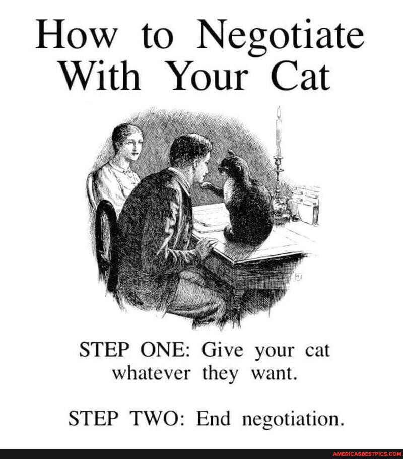 Negotiation memes. Best Collection of funny Negotiation pictures on  America's best pics and videos