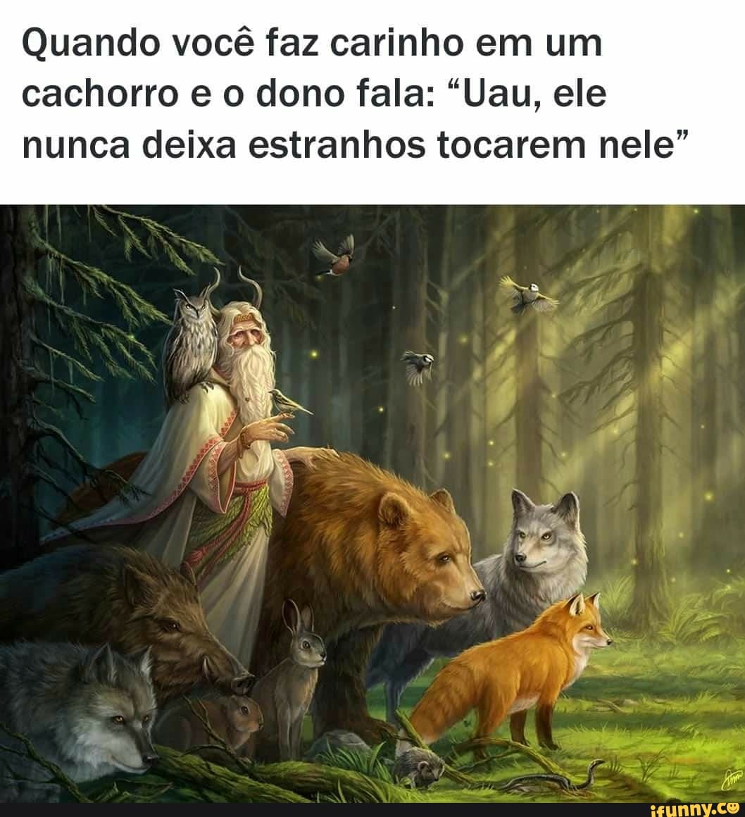 Quando você faz carinho em um cachorro e o dono fala: "Uau, ele nunca deixa estranhos tocarem nele"