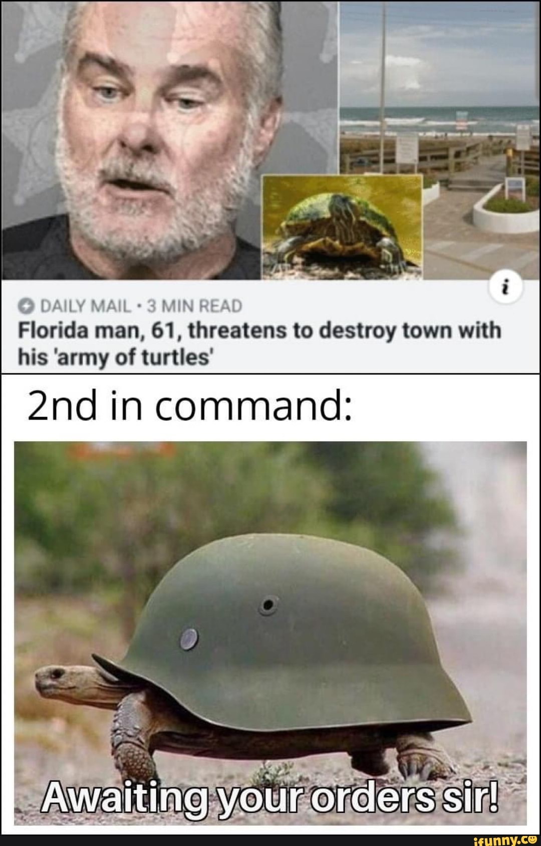 O DAILY MAIL 3
MIN READ
Florida man, 61, threatens to destroy town with
his 'army of turtles'