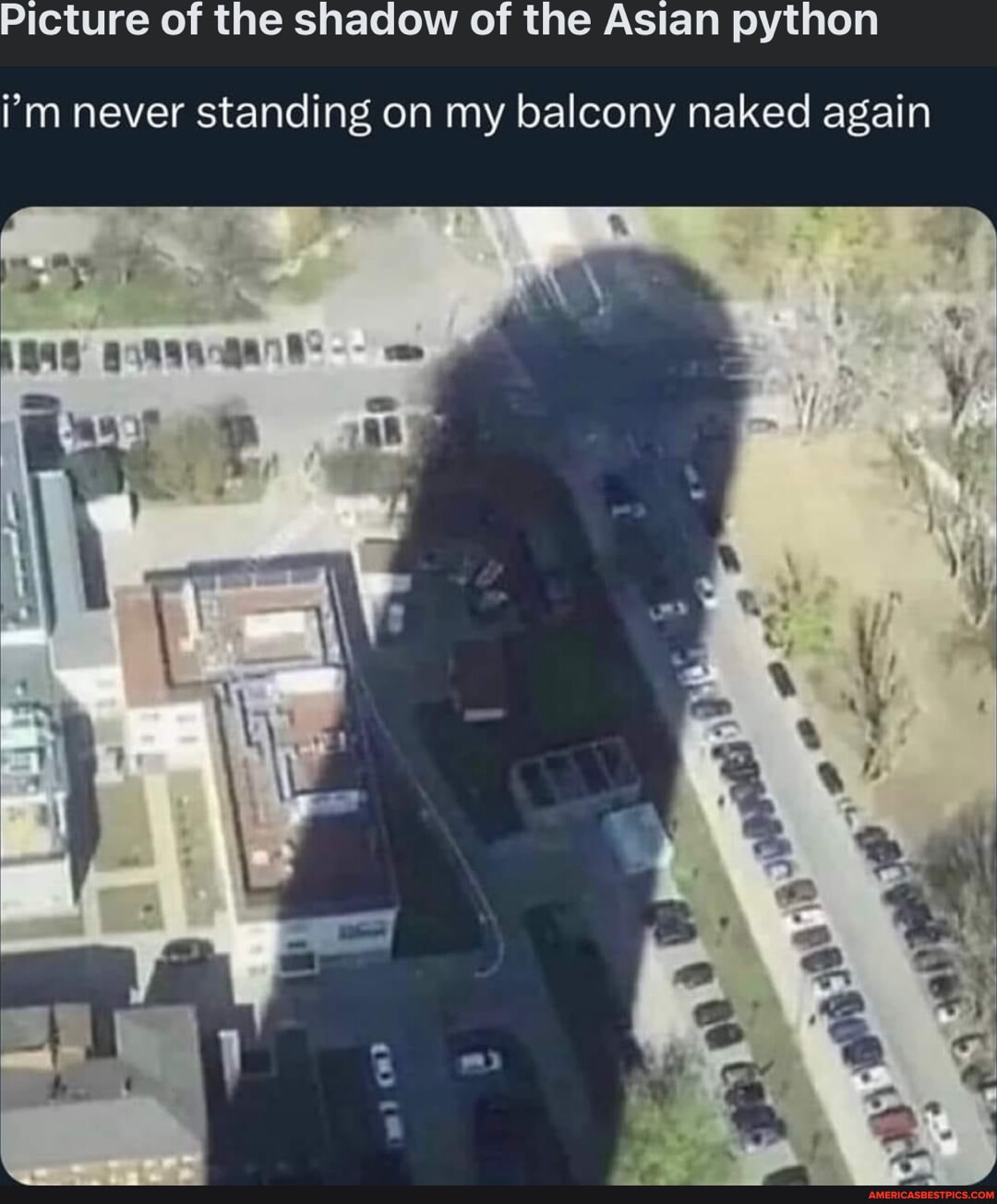 Picture of the shadow of the Asian python i'm never standing on my ...