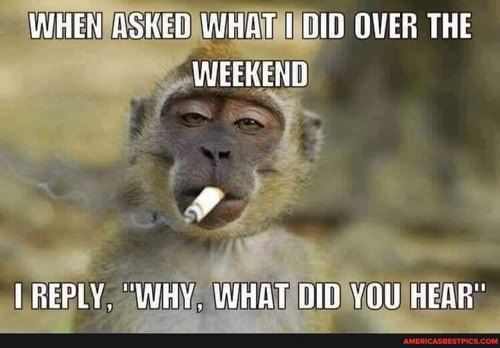 WHEN ASKER OVER THE WEEKENG
No
LREPLY, "WY, WHAT DID YOU HEAR