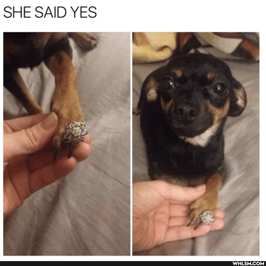 SHE SAID YES