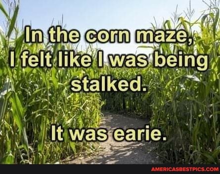 thee mai
I felt! like wast
Being
istalked.