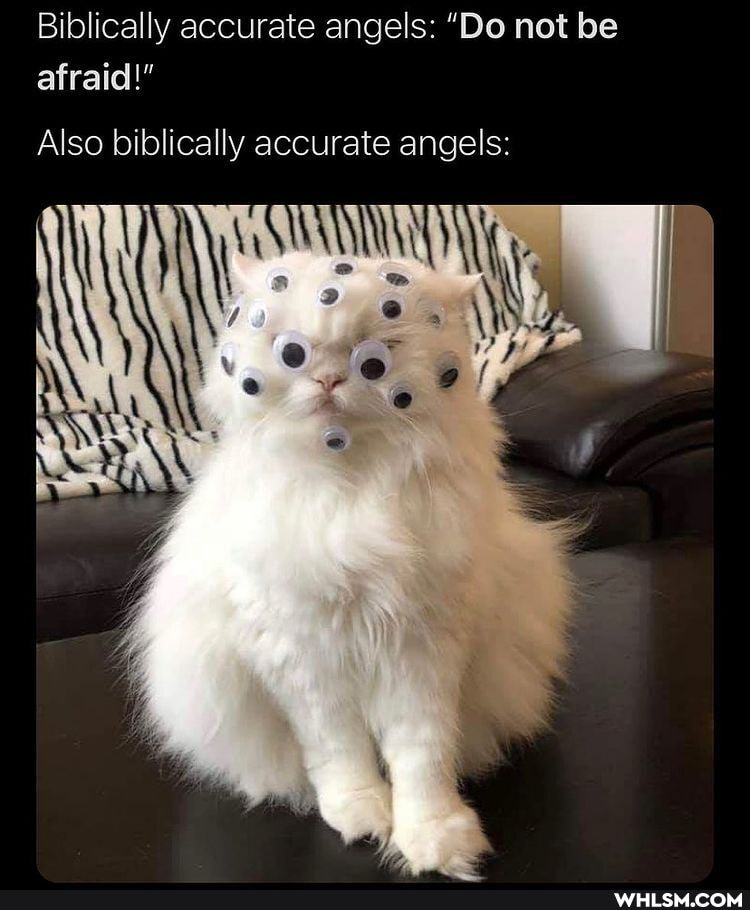 Biblically accurate angels "Do not be afraid!" Also biblically