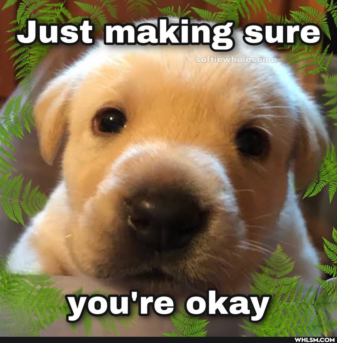 Just making sure
you're okay