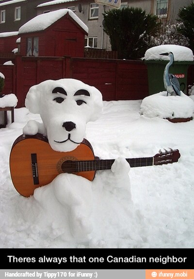 Theres always that one Canadian neighbor - Theres always that one Canadian neighbor