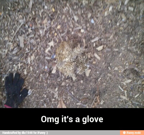 Omg it's a glove - Omg it's a glove