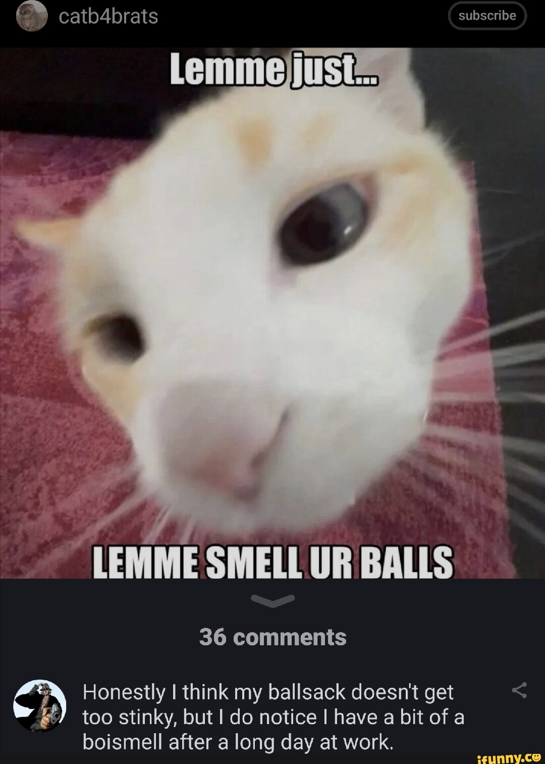 Lemme Smell Your Dick