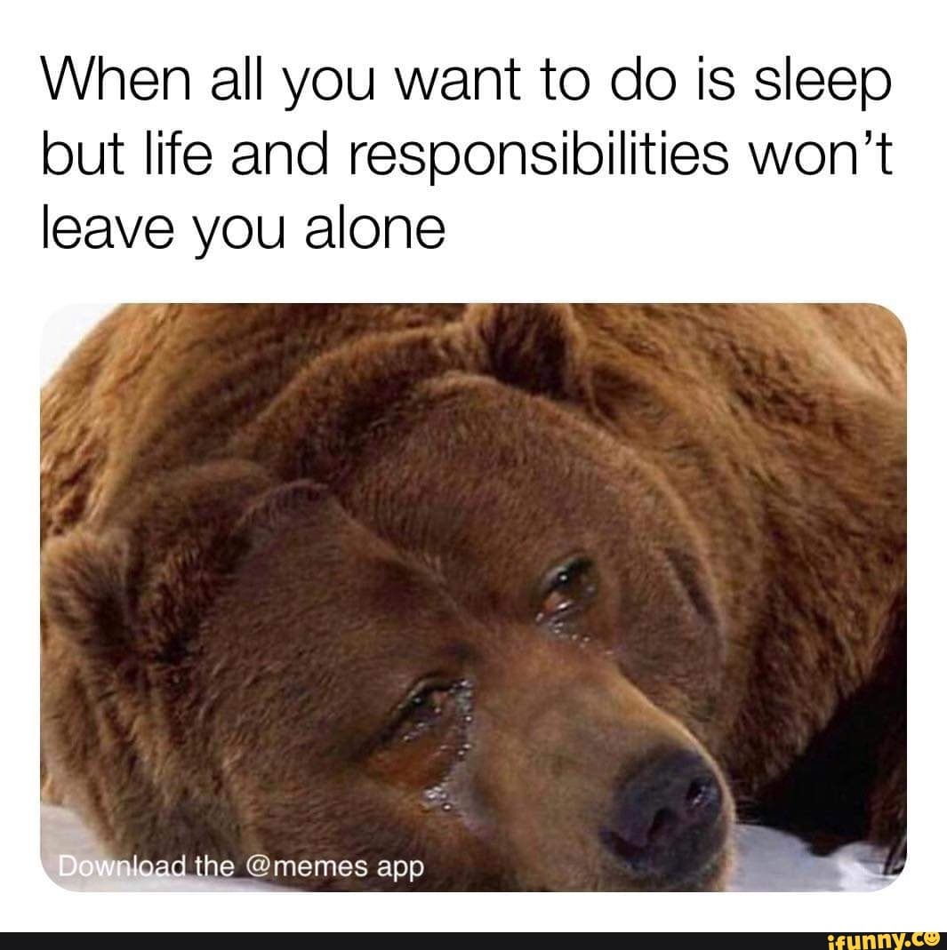When All You Want To Do Is Sleep But Life And Responsibilities Won T Leave You Alone Load The Memes App Ifunny