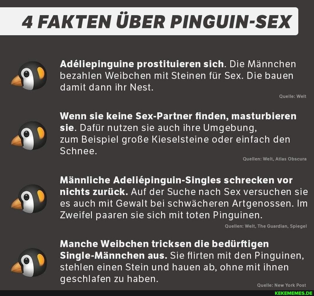 4 FAKTEN ÜBER PINGUIN-SEX Adeliepinguine prostituieren sich. Die Männchen beza