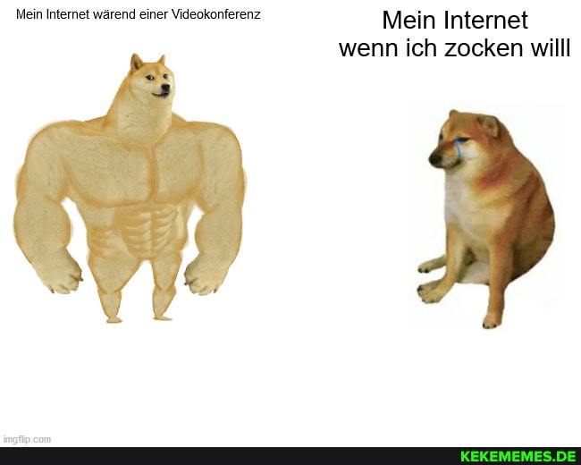 Mein Internet wärend einer Videokonferenz Mein Internet wenn ich zocken willl