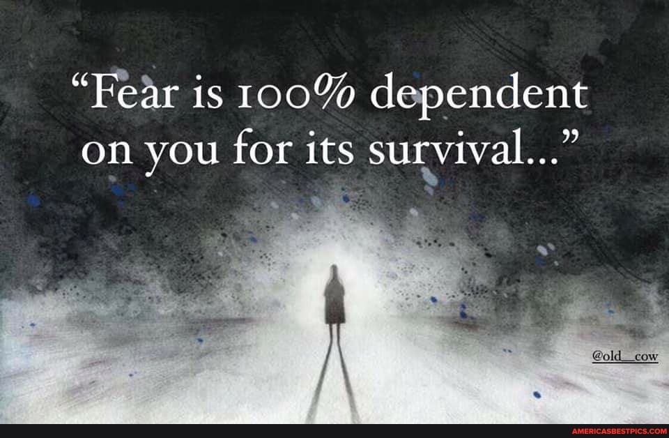 "Fear is 100% dependent on you for its survival..."