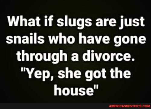 What if slugs are just snails who have gone through a divorce.
"Yep, she got the house"