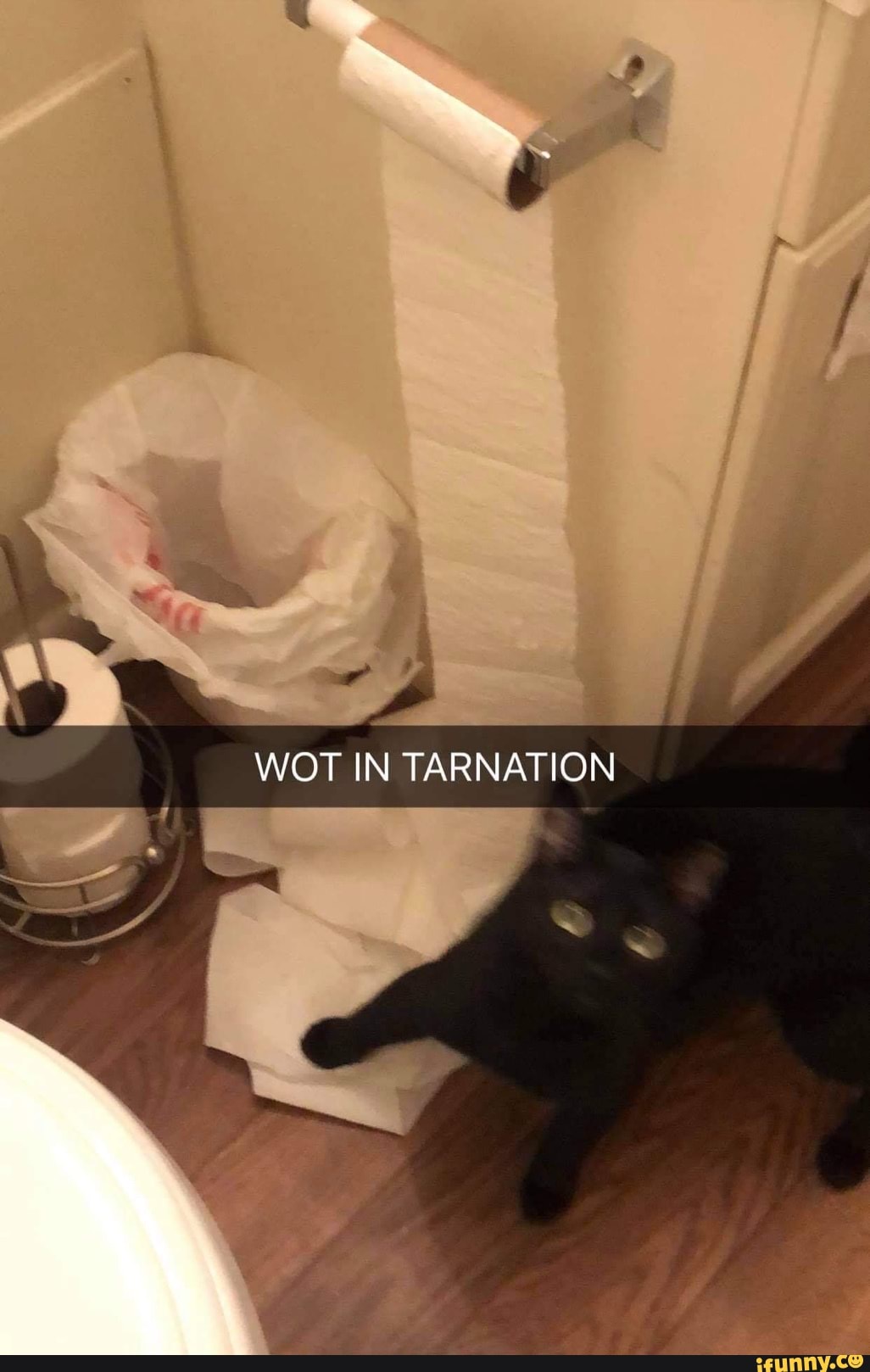 on
WOT IN TARNATION