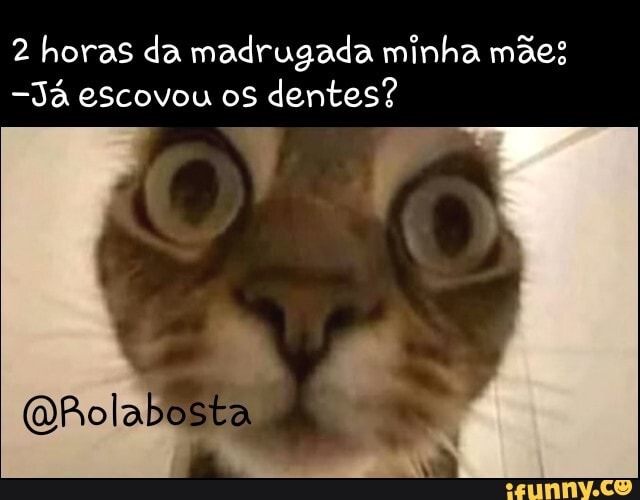 Escovou memes. Best Collection of funny Escovou pictures on iFunny Brazil