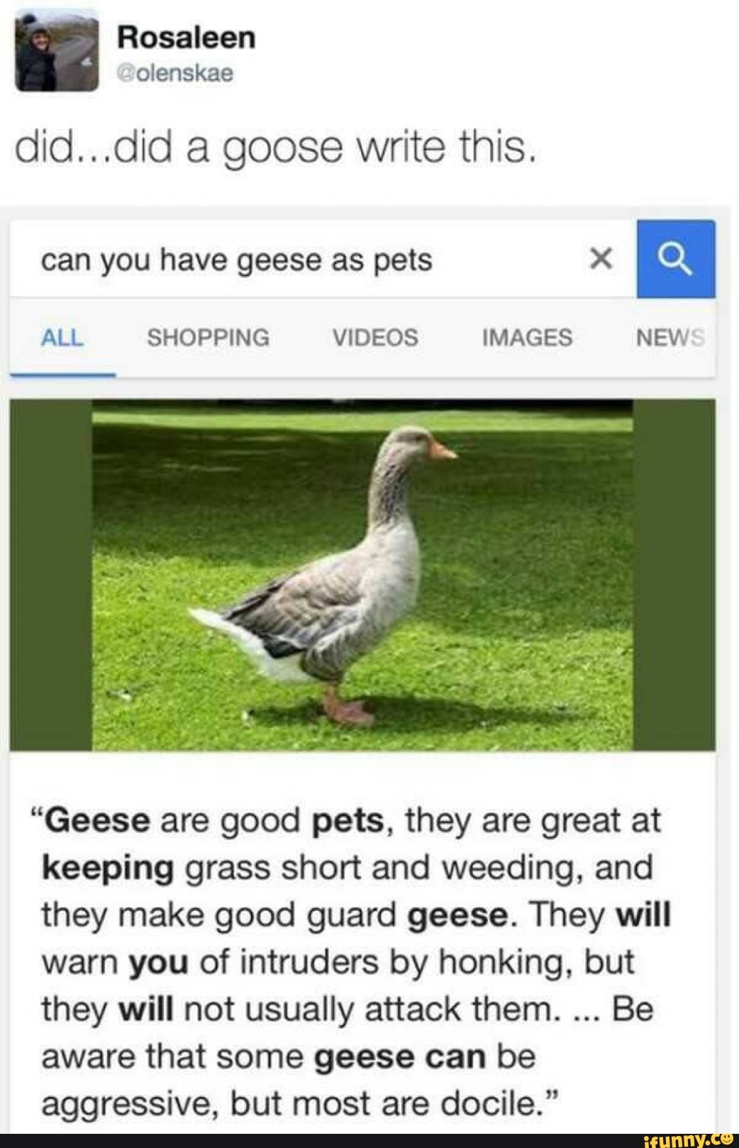 Did...did a goose write this. can you have geese as pets X “ ALL