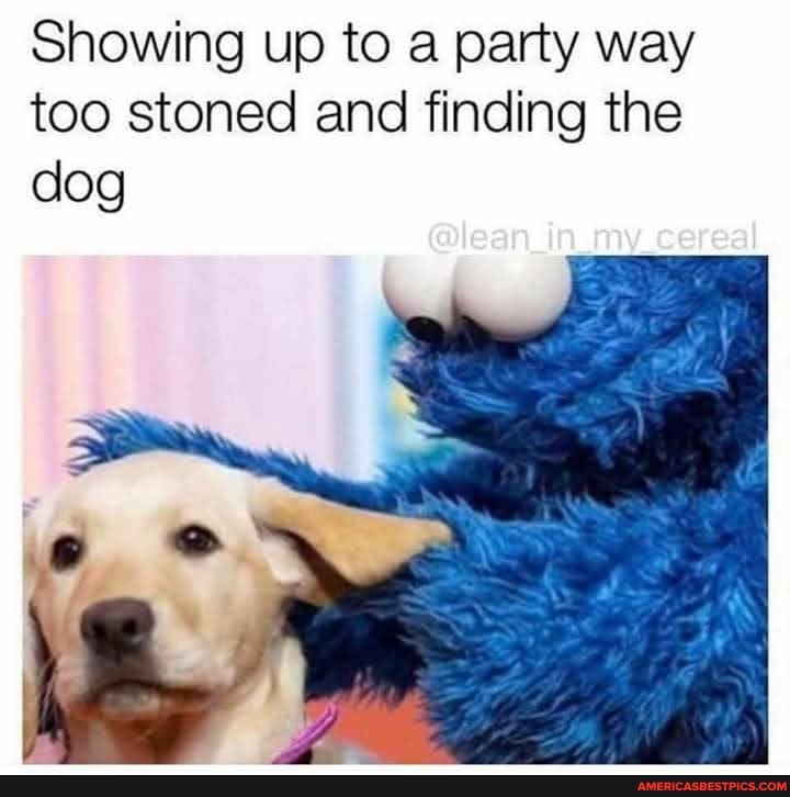Showing up to a party way too stoned and finding the
dog