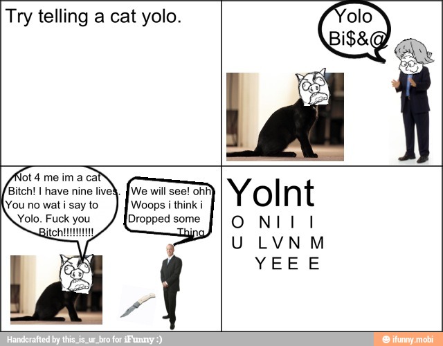 Try telling a cat yolo.
Bitch! I have nine lived. {We will see! ohh}
Woops i think i
Dropped some