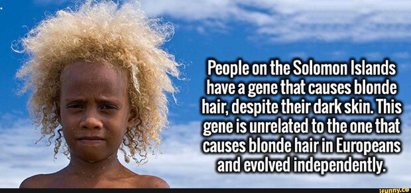 People On The Solomon Islands Have A Gene That Causes Blonde