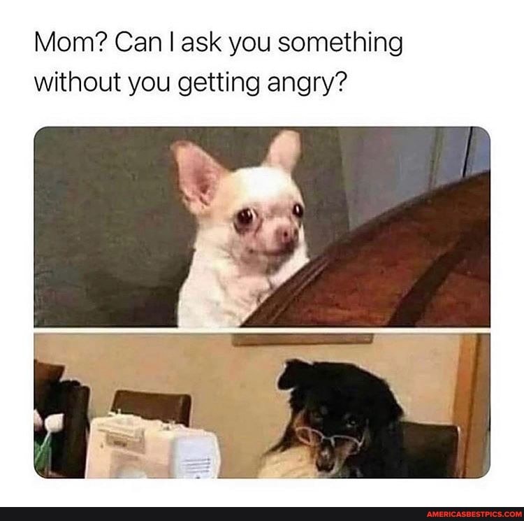 Mom? Can ask you something without you getting angry?