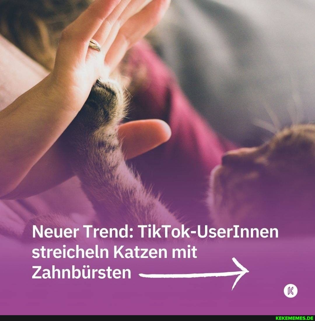 Neuer Trend: streicheln Katzen mit
Zahnbürsten