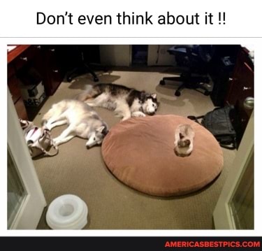 Don't even think about it