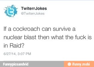 If a cockroach can survive a
nuclear blast then what the fuck is
ana leis
