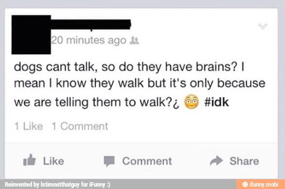 crass
dogs cant talk, so do they have brains? I
mean I know they walk but it's only because
we are telling them to walk?¿ 25 Hidk