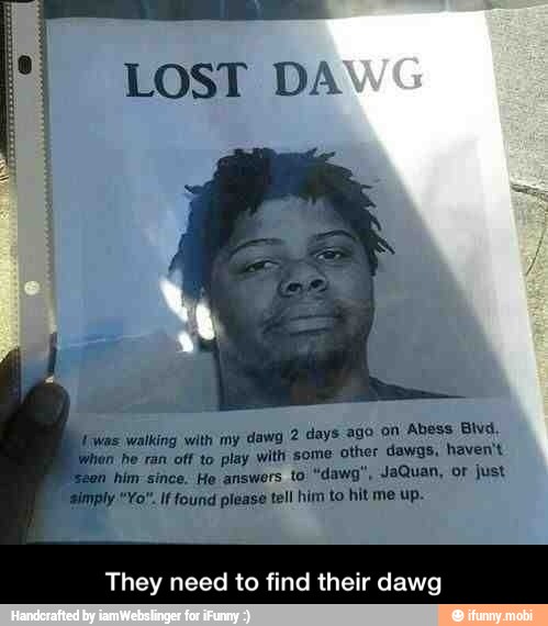 LOST DA
A
walking with my dawg, 2 days ago on Abess Blvd.
he ran off to play with some other dawgs, haven't
him since. He answers to "dawg", JaQuan, or just
Yo". If found please tell him to hitme up.
They need to find their dawg - They need to find their dawg