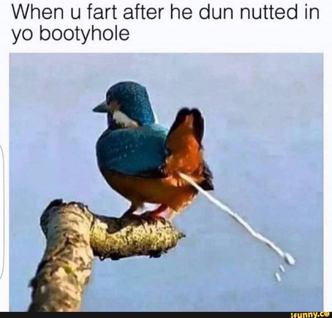 When U Fart After He Dun Nutted In Yo Bootyhole Ifunny