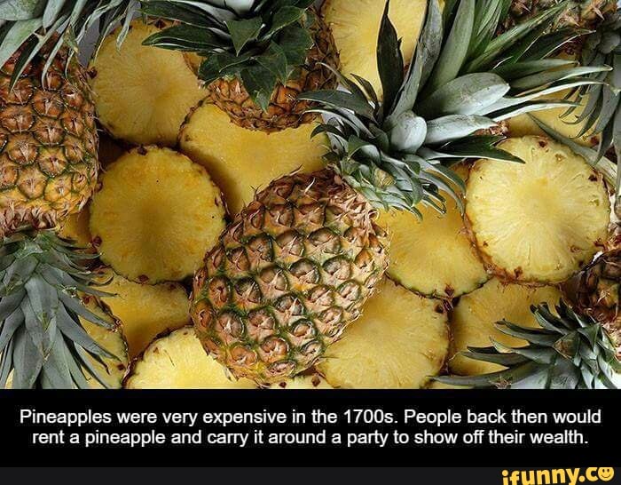Pineapples were very expensive in the 17005. People back then would