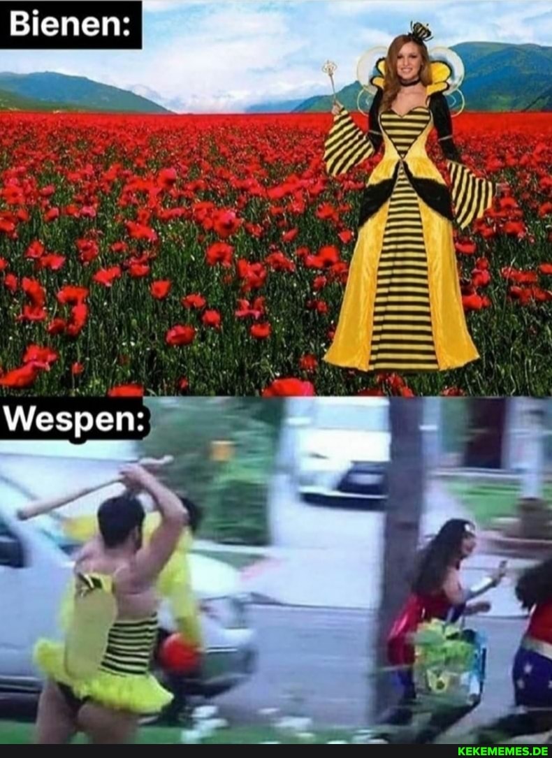 Bienen:
Wespen:
Er