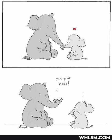 wholesome, wholesome_memes, stolen_memes