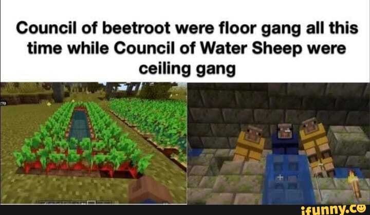 Council of beetroot were floor gang all this time while Council of Water Sheep were ceiling gang