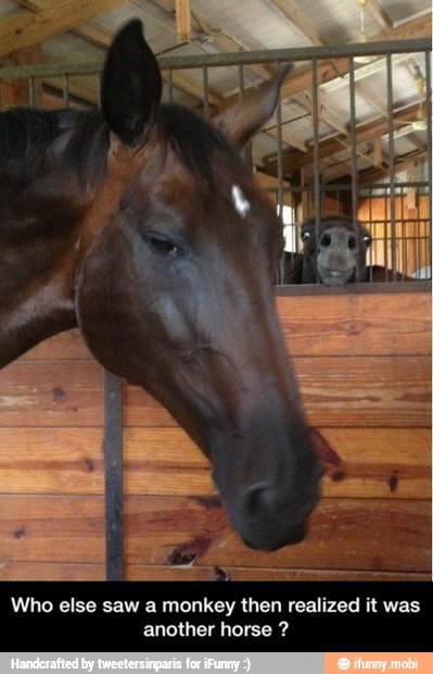 Who else saw a monkey then realized it was
another horse - Who else saw a monkey then realized it was another horse ?